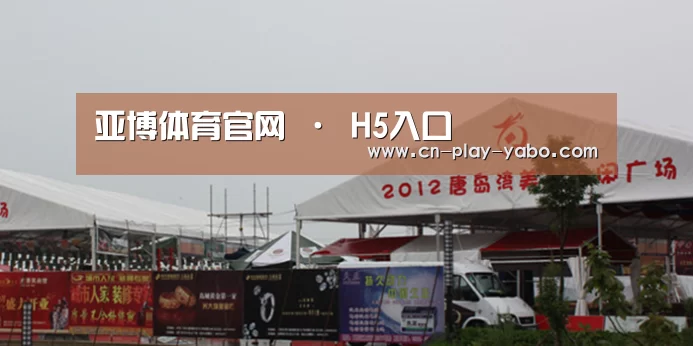 案例标题十