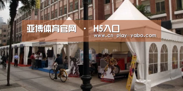 案例标题九