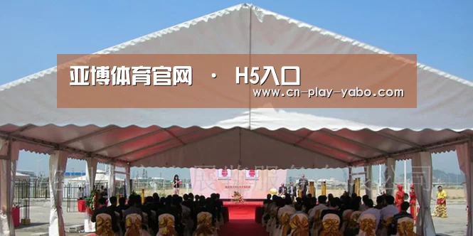 案例标题三