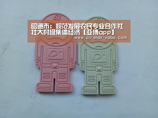 昭通市:规范发展农民专业合作社 壮大村级集体经济【亚博app】
