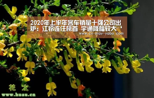 2020年上半年客车销量十强公司出炉:江铃连任榜首 宇通降幅较大‘亚博平台’(图3) 亚博app